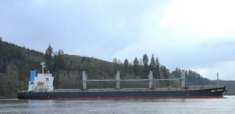 SEA WISDOM Bulk Carrier IMO 9405497 photo 8