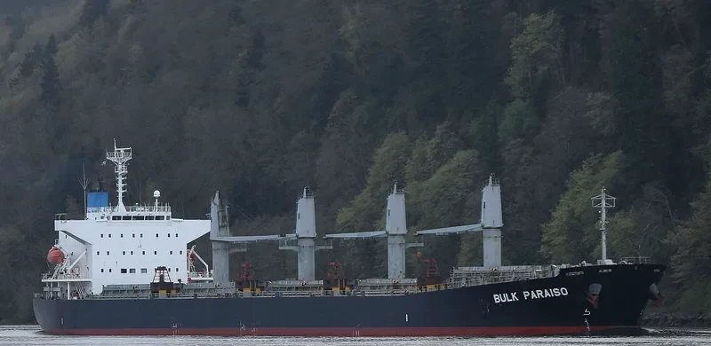 SEA WISDOM Bulk Carrier IMO 9405497 photo 9