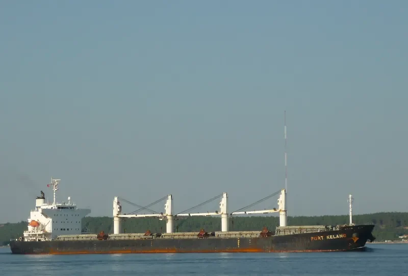 RHL MONICA Bulk Carrier IMO 9405514 photo 2