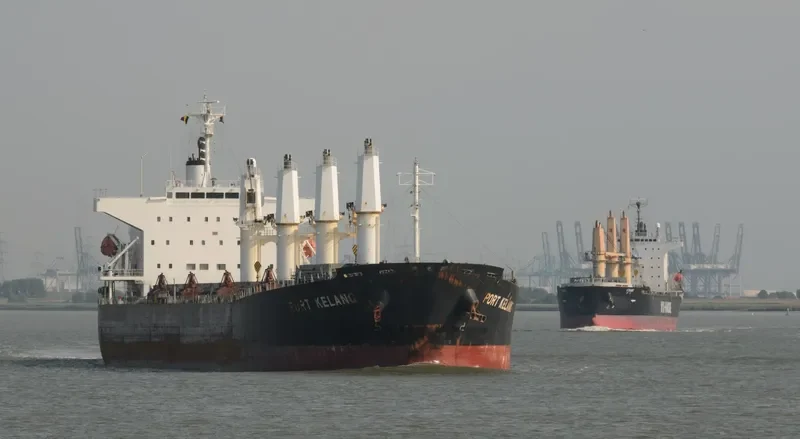 RHL MONICA Bulk Carrier IMO 9405514 photo 8