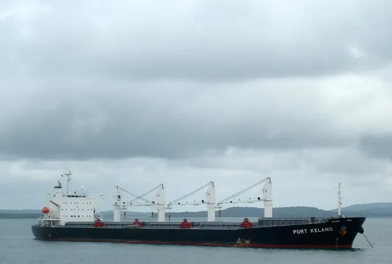 RHL MONICA Bulk Carrier IMO 9405514 photo 10