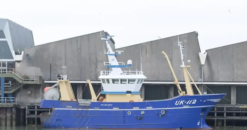 WILHELMINA General Cargo IMO 9405590 photo 2