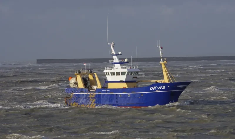 WILHELMINA General Cargo IMO 9405590 photo 3