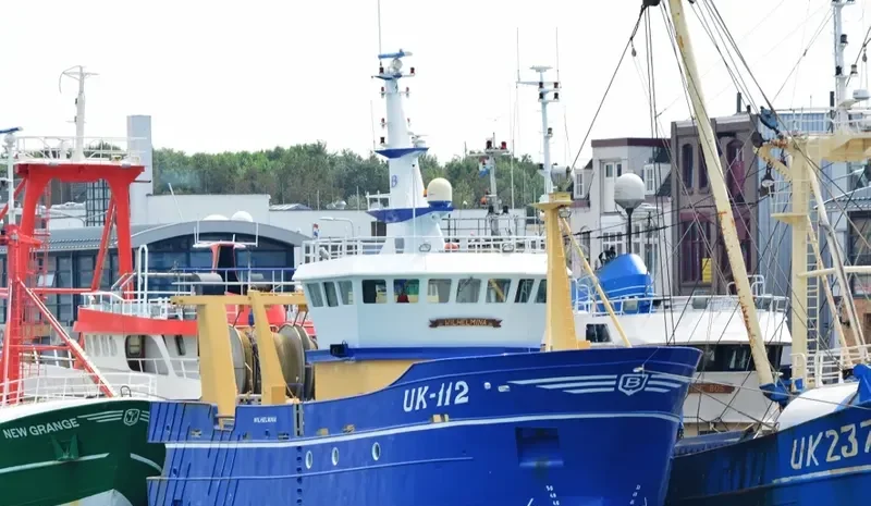WILHELMINA General Cargo IMO 9405590 photo 4