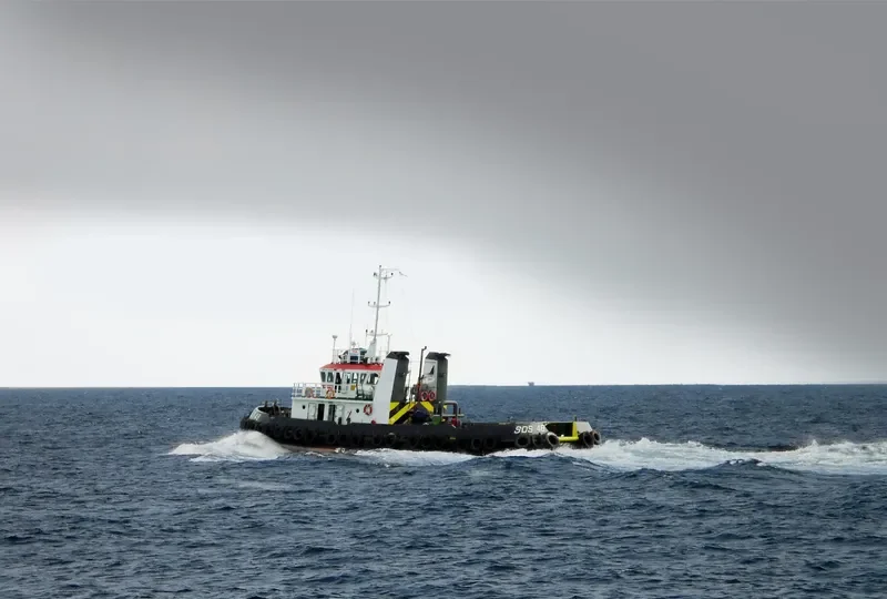 SDS 48 General Cargo IMO 9405679 photo 5
