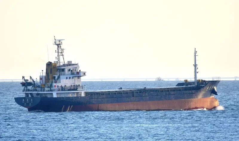 RICH GAIN General Cargo IMO 9405681 photo 3