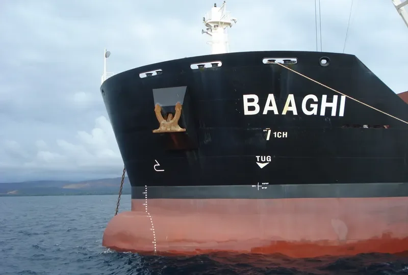 ARTMAN Bulk Carrier IMO 9405930 photo 3