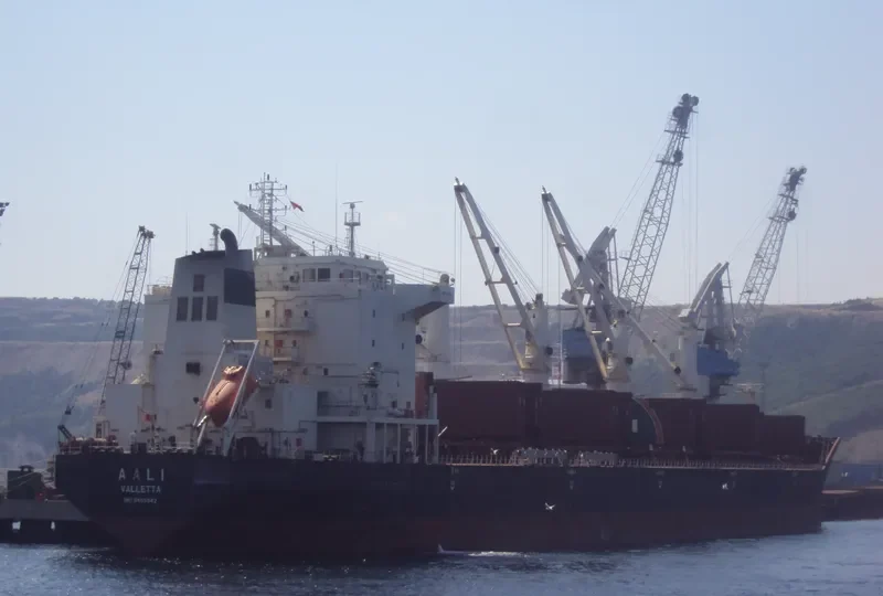 BASKAR Bulk Carrier IMO 9405942