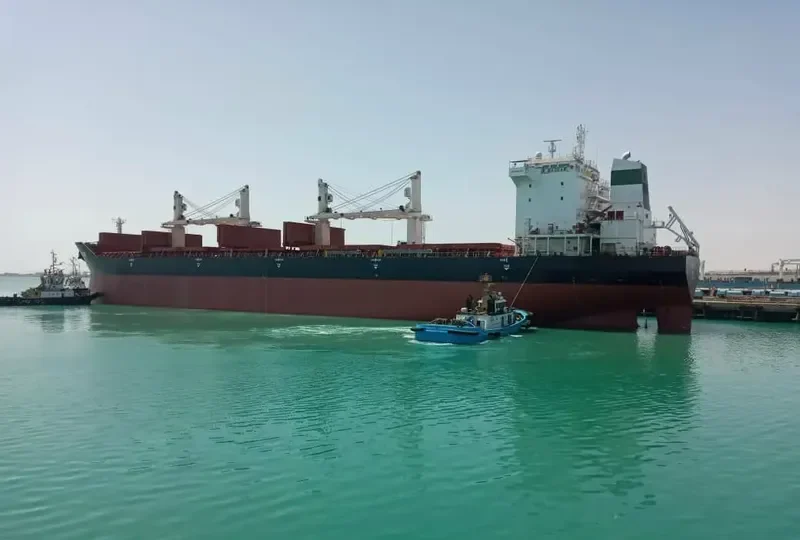 BASKAR Bulk Carrier IMO 9405942 photo 2