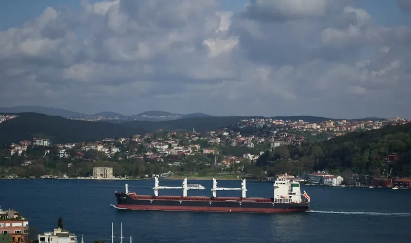 BAHJAT Bulk Carrier IMO 9405954 photo 7