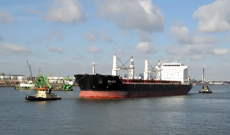 BAHJAT Bulk Carrier IMO 9405954 photo 10