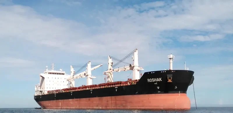 ROSHAK Bulk Carrier IMO 9405966