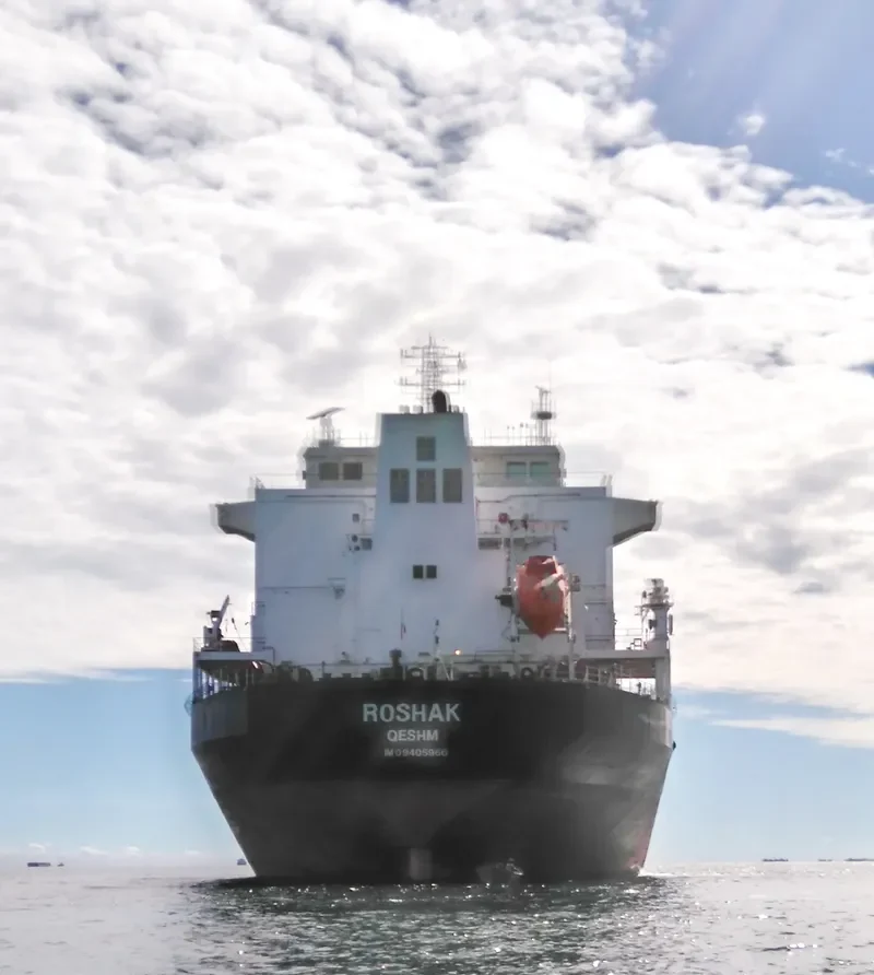 ROSHAK Bulk Carrier IMO 9405966 photo 3
