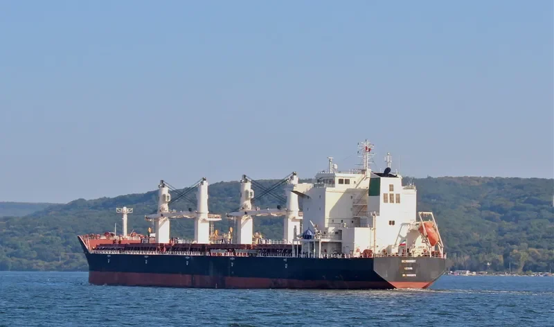 BEHDOKHT Bulk Carrier IMO 9405978