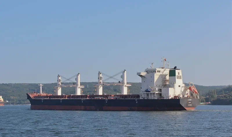 BEHDOKHT Bulk Carrier IMO 9405978 photo 2