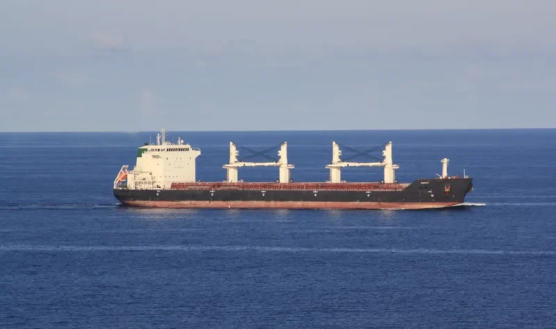 BEHDOKHT Bulk Carrier IMO 9405978 photo 3