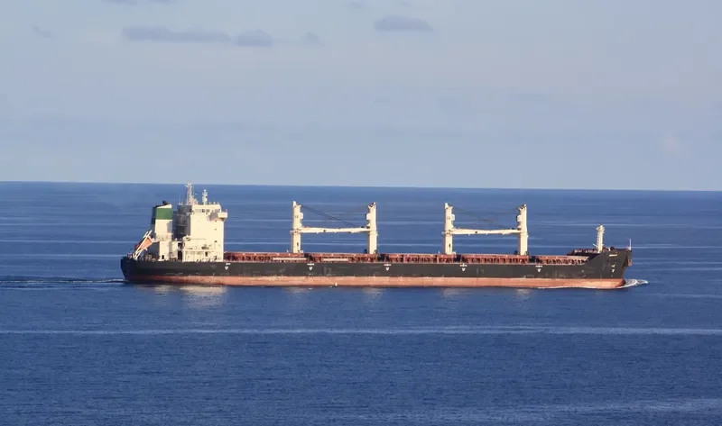 BEHDOKHT Bulk Carrier IMO 9405978 photo 4
