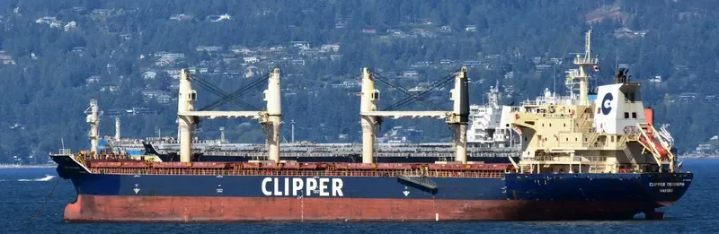 CLIPPER TRIUMPH Bulk Carrier IMO 9406025 photo 2
