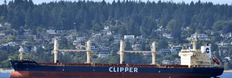 CLIPPER TRIUMPH Bulk Carrier IMO 9406025 photo 5