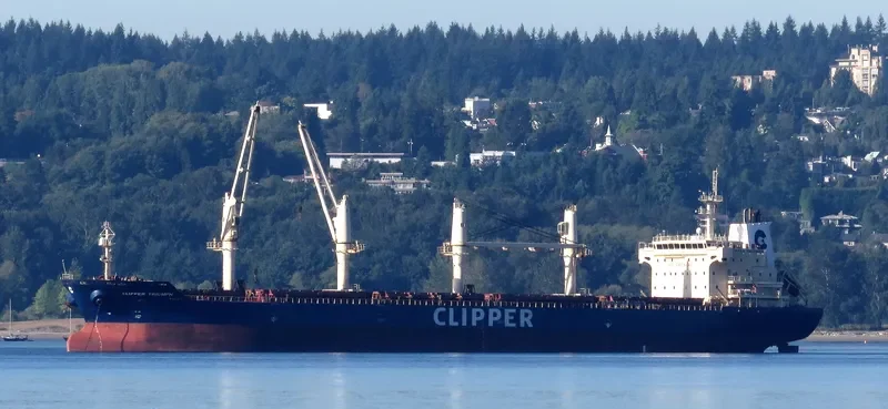 CLIPPER TRIUMPH Bulk Carrier IMO 9406025 photo 7