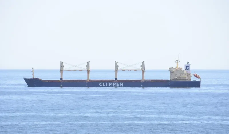 SEASTAR TITAN Bulk Carrier IMO 9406037 photo 4
