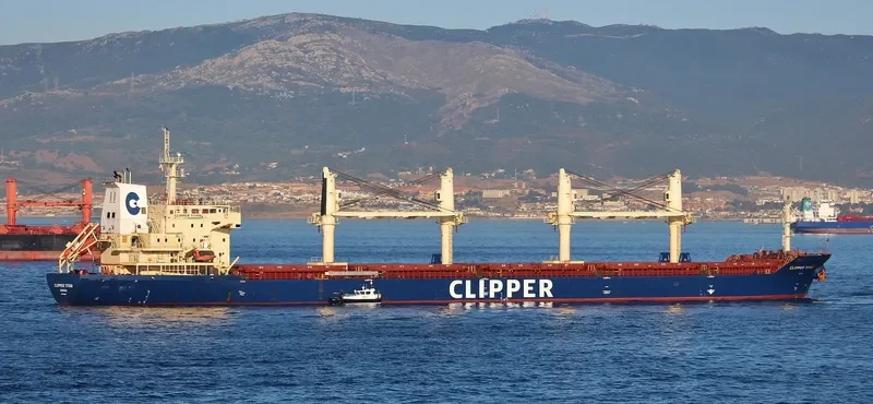 SEASTAR TITAN Bulk Carrier IMO 9406037 photo 8