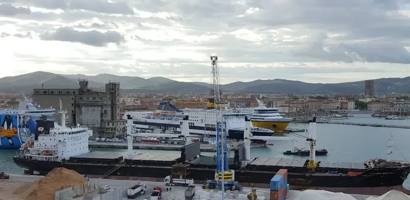 LOUISA BOLTEN Bulk Carrier IMO 9406049 photo 2