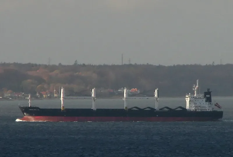 LOUISA BOLTEN Bulk Carrier IMO 9406049 photo 6