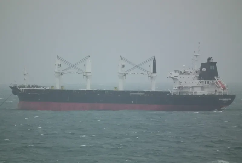 LOUISA BOLTEN Bulk Carrier IMO 9406049 photo 7