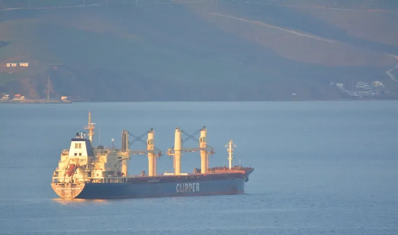 SEASTAR TRADITION Bulk Carrier IMO 9406051