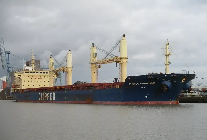 SEASTAR TRADITION Bulk Carrier IMO 9406051 photo 2