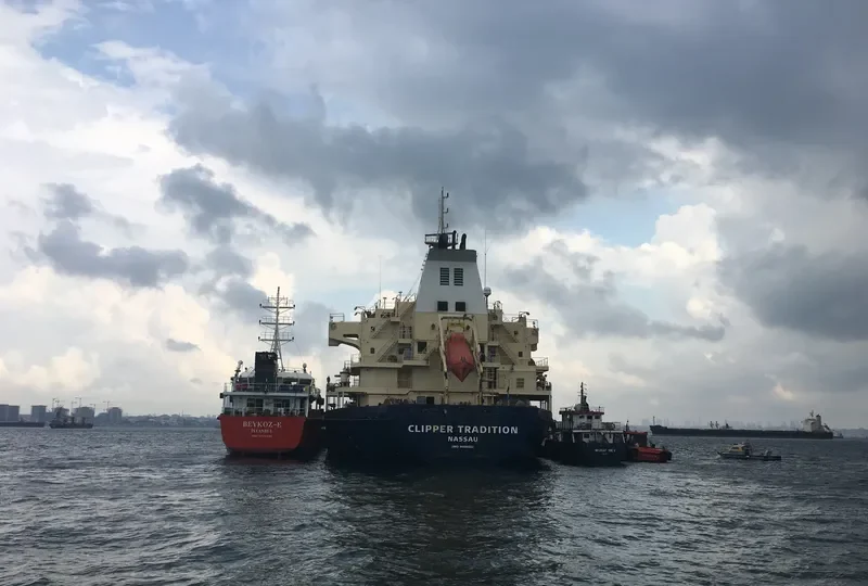 SEASTAR TRADITION Bulk Carrier IMO 9406051 photo 4