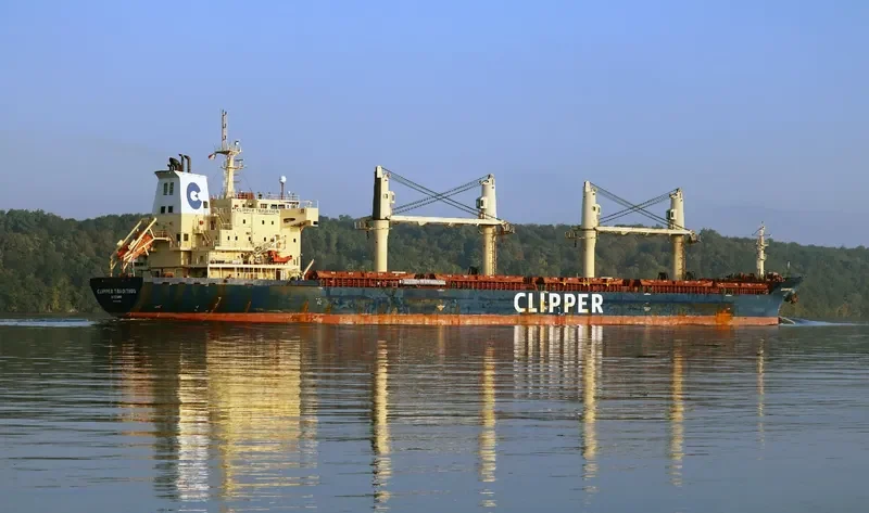 SEASTAR TRADITION Bulk Carrier IMO 9406051 photo 5