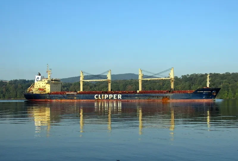 SEASTAR TRADITION Bulk Carrier IMO 9406051 photo 6