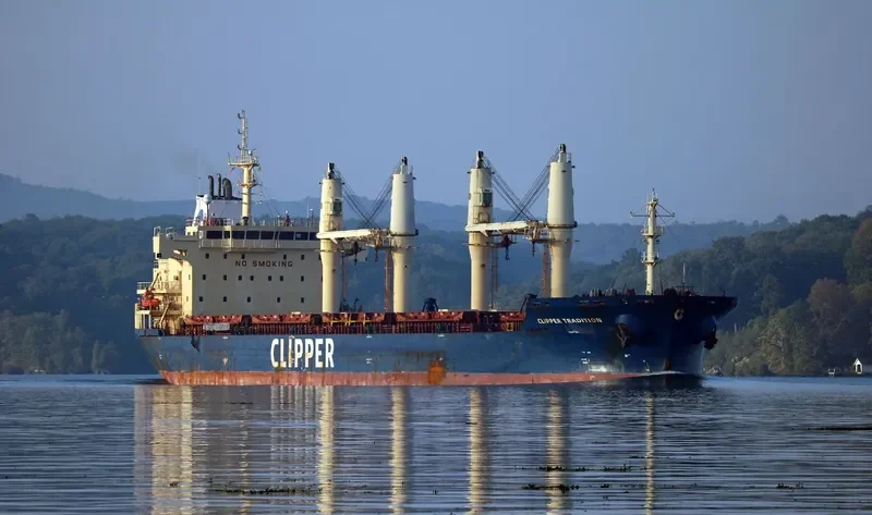 SEASTAR TRADITION Bulk Carrier IMO 9406051 photo 7