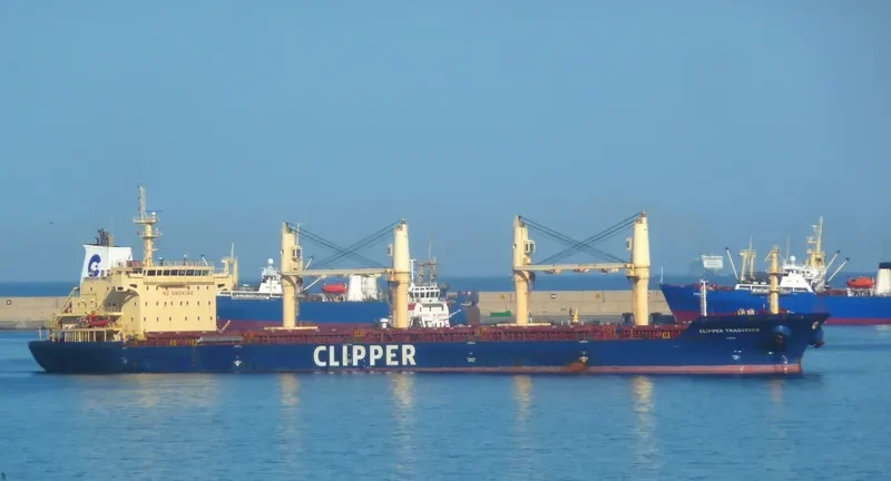 SEASTAR TRADITION Bulk Carrier IMO 9406051 photo 8