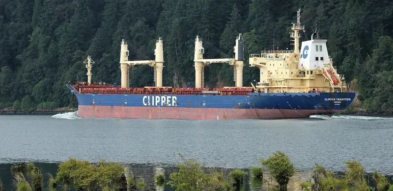SEASTAR TRADITION Bulk Carrier IMO 9406051 photo 10