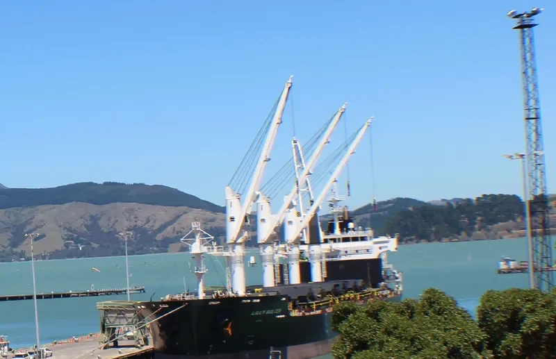 LILLY BOLTEN Bulk Carrier IMO 9406063