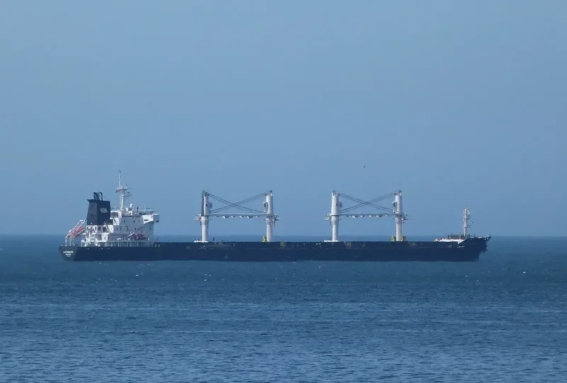 LILLY BOLTEN Bulk Carrier IMO 9406063 photo 3