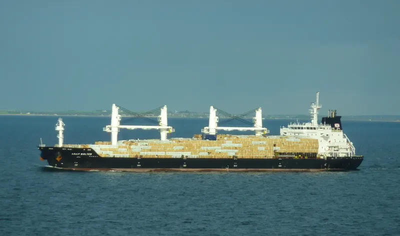 LILLY BOLTEN Bulk Carrier IMO 9406063 photo 5