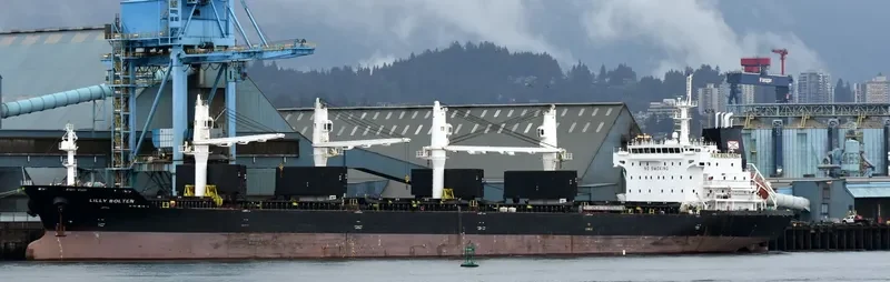 LILLY BOLTEN Bulk Carrier IMO 9406063 photo 11