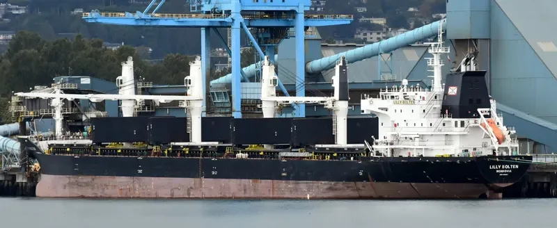 LILLY BOLTEN Bulk Carrier IMO 9406063 photo 23