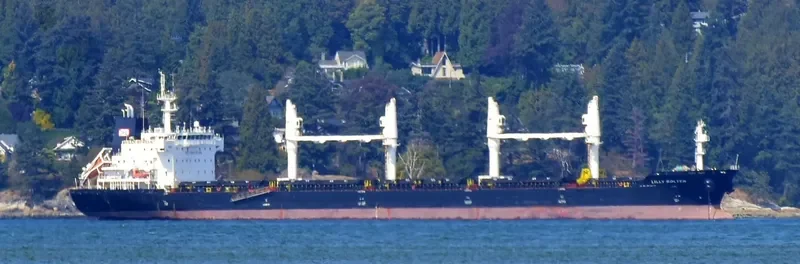 LILLY BOLTEN Bulk Carrier IMO 9406063 photo 29