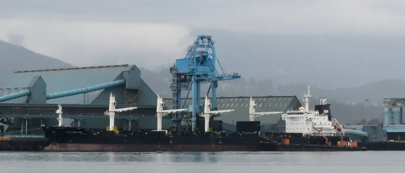 LILLY BOLTEN Bulk Carrier IMO 9406063 photo 38