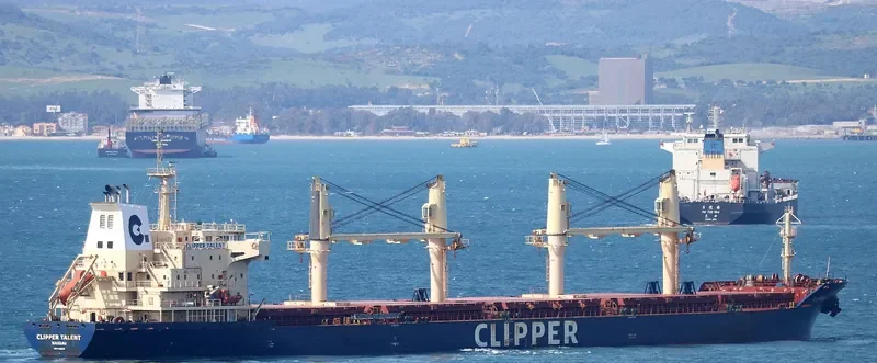 CLIPPER TALENT Bulk Carrier IMO 9406075