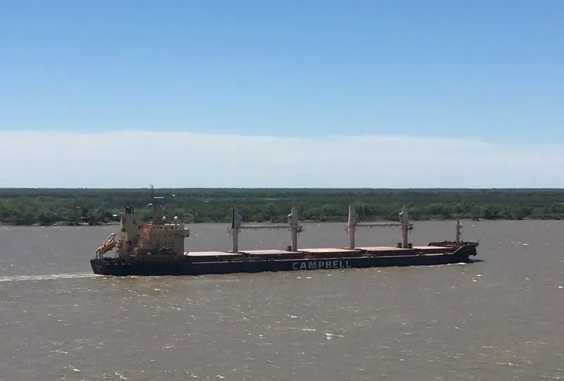 CHARLINE Bulk Carrier IMO 9406087
