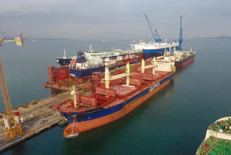 CLIPPER TARPON Bulk Carrier IMO 9406099
