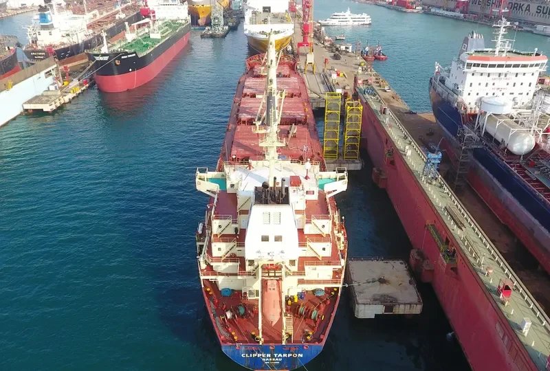 CLIPPER TARPON Bulk Carrier IMO 9406099 photo 3