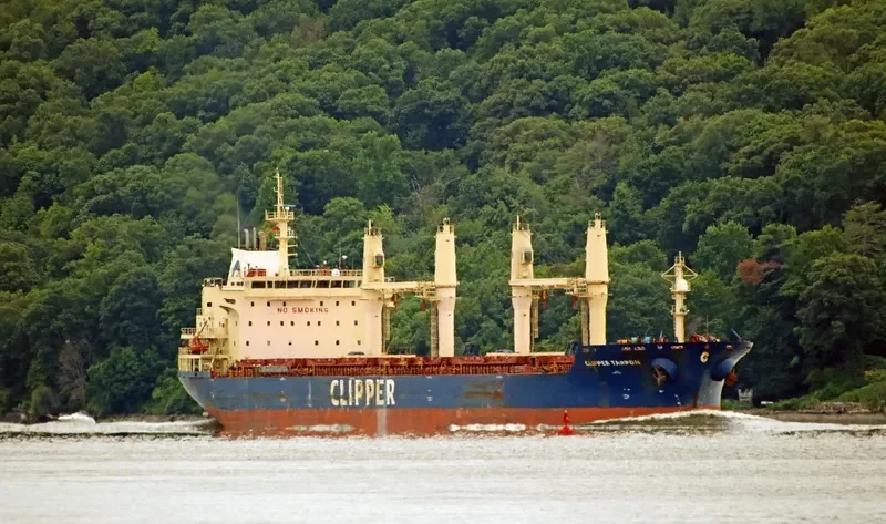 CLIPPER TARPON Bulk Carrier IMO 9406099 photo 10