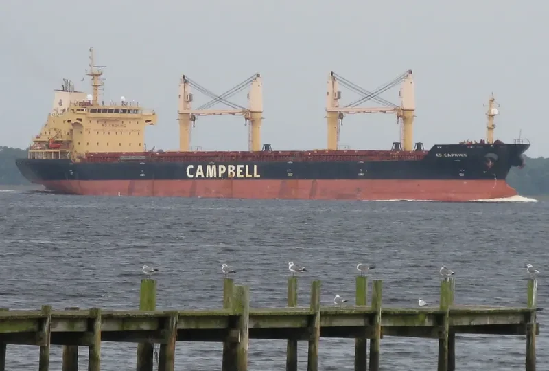 CS CAPRICE Bulk Carrier IMO 9406104 photo 5